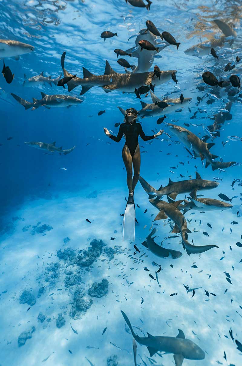 Woman Swimming With A Shark