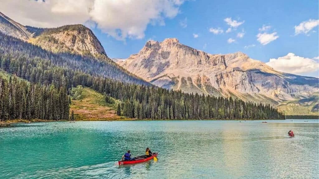 Calgary Crown Of The Rockies For Nonprofit Auction