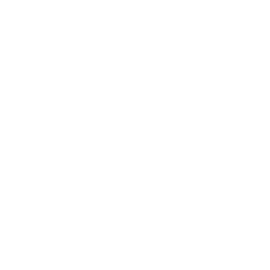Castille Elementary logo