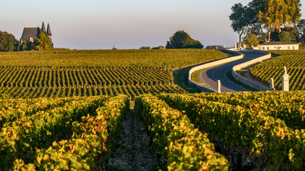 Chateau In Bordeaux Hd Images (11)