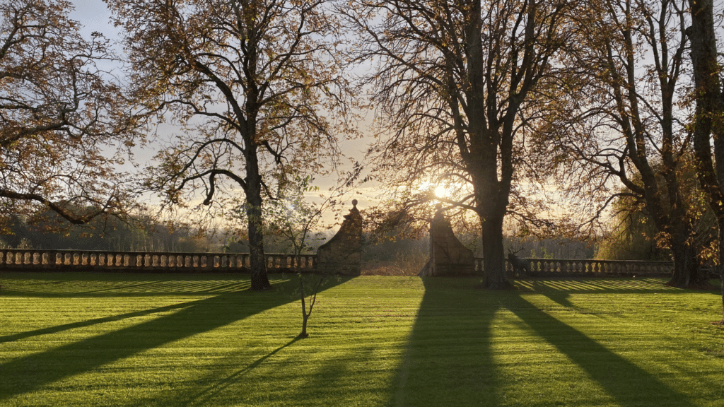 Chateau In Bordeaux Hd Images (4)