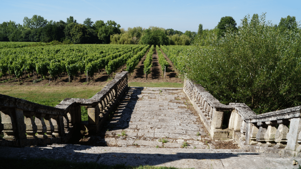 Chateau In Bordeaux Hd Images (7)