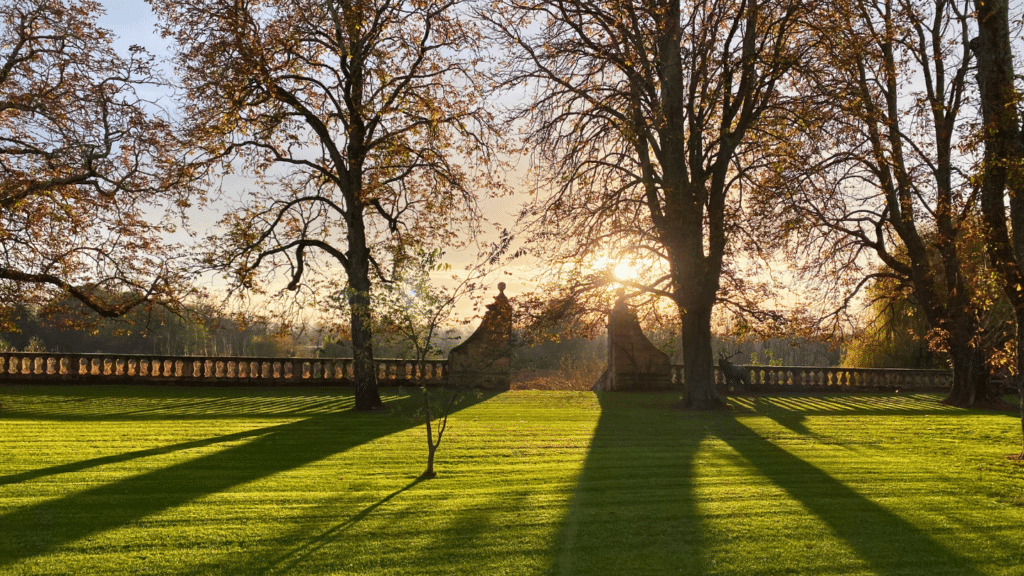 Chateau In Bordeaux Hd Images (9)
