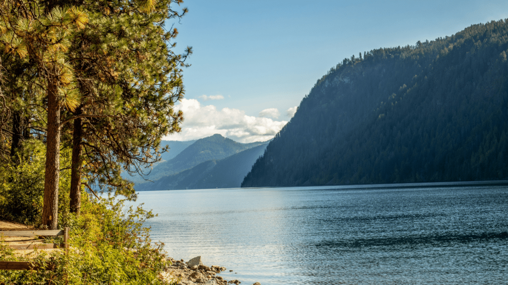 Cozy Coeur D Alene 15