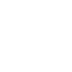 Eagle Chamber logo