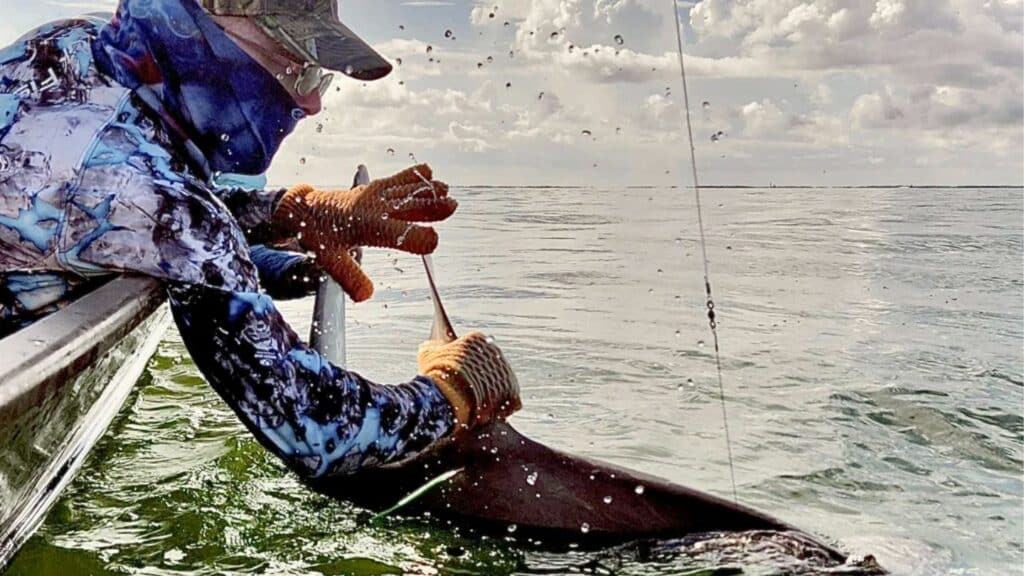 Gulf Coast Shark Expedition