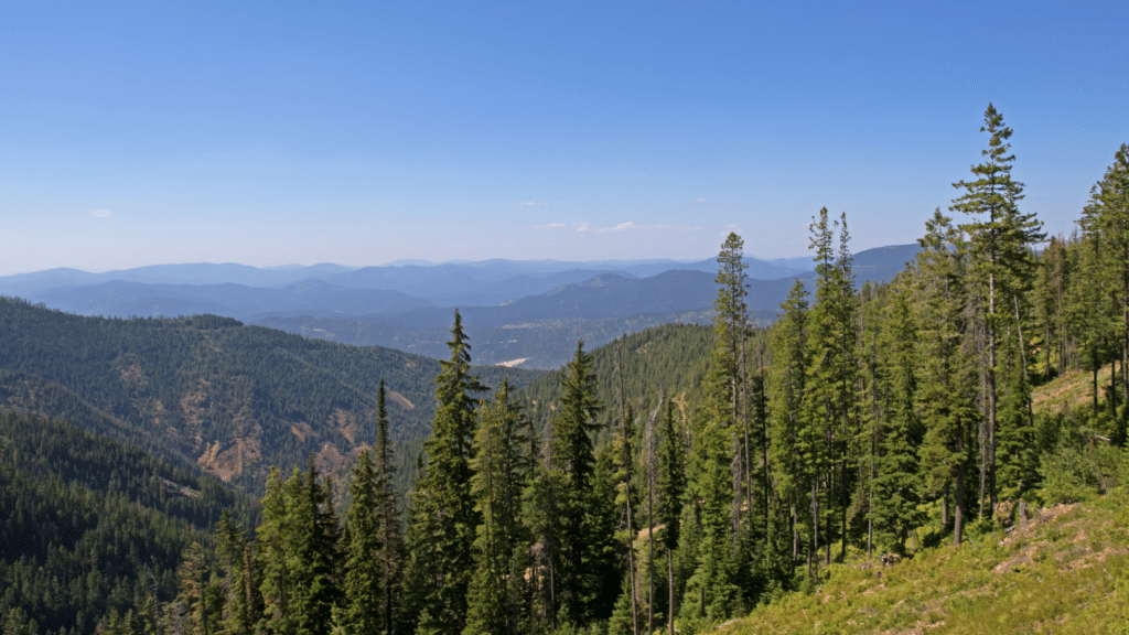 Lakeside Coeur D Alene 13