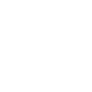 Royal Palm Academy logo