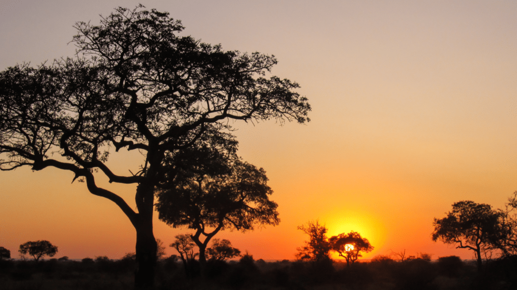 South Africa Unscripted