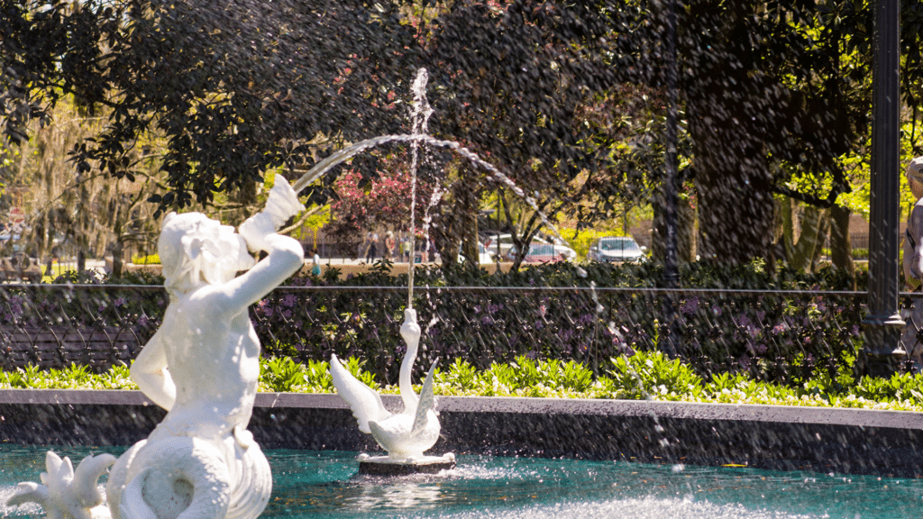 Savannah Spirits (10)