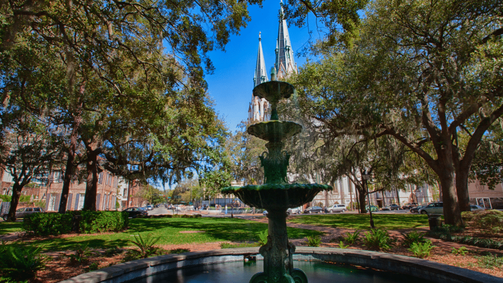 Savannah Spirits (11)