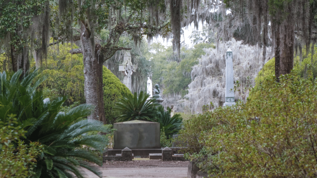 Savannah Spirits (7)