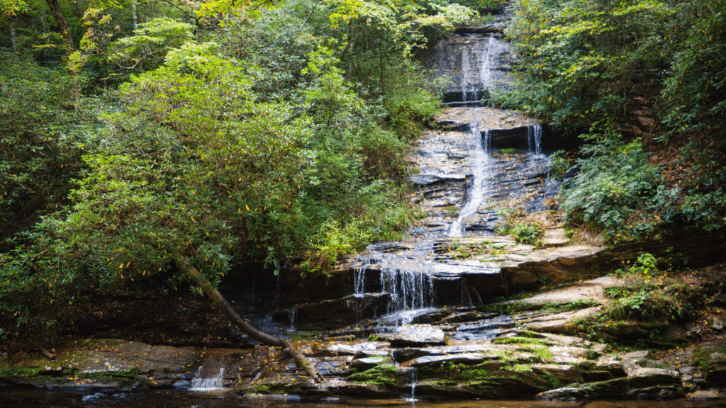 Tennessee Treetop Hideaway