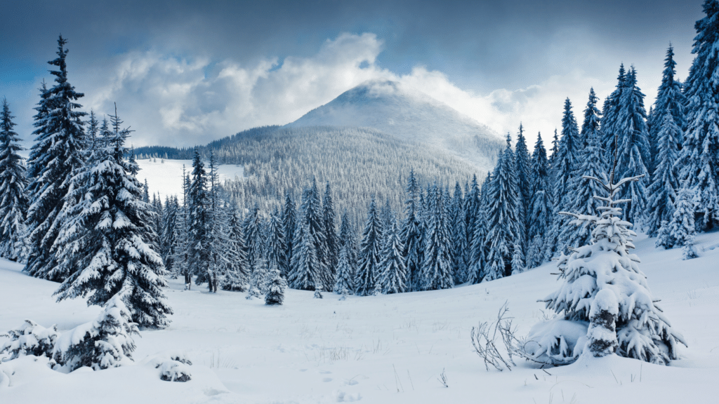 Winter on the Frontier