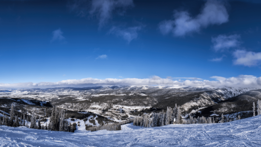 Wonderful Winter Park 13