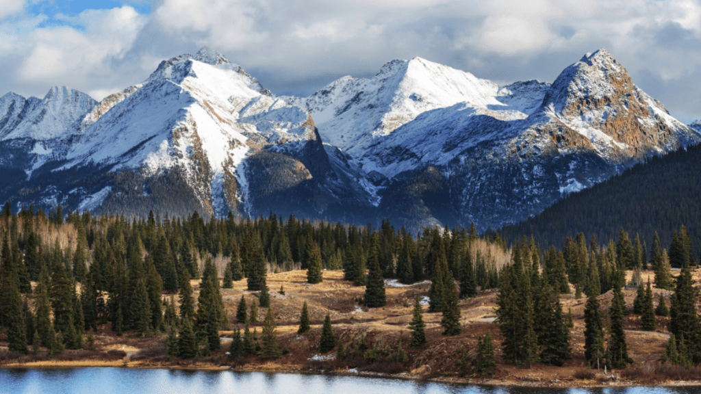 Wonderful Winter Park 15