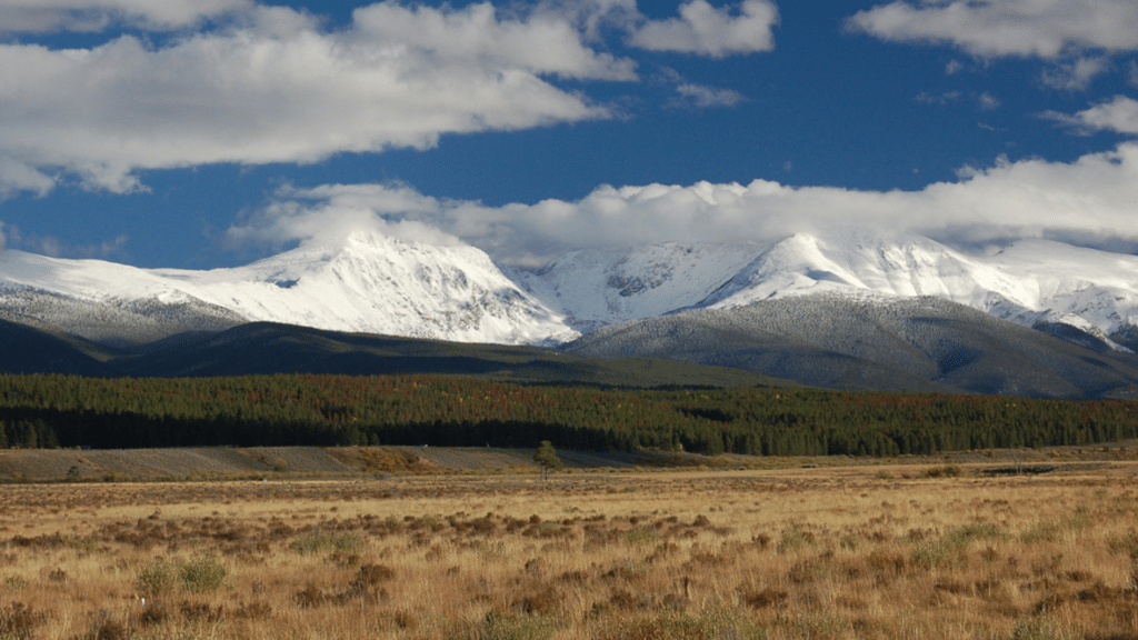 Wonderful Winter Park 8