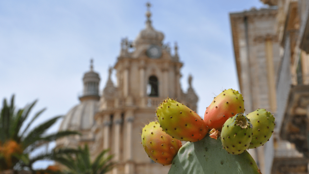 Prickly pear cactus with historic Sicilian cathedral in the background.