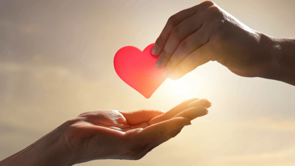 Auction committees should evaluate every donation based on the audience, gaps in the catalog, auction format, and fulfillment requirements with care