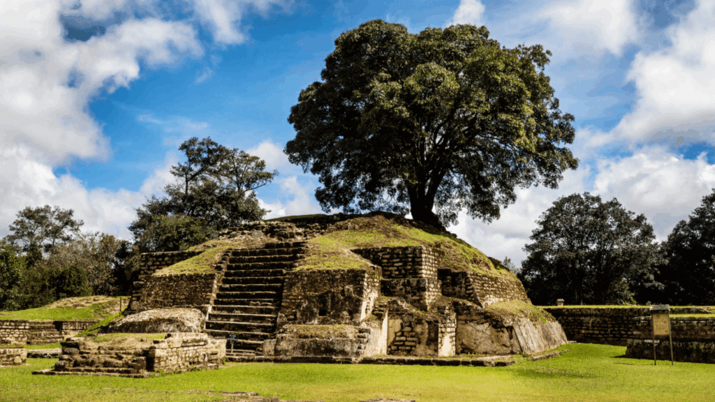 Echoes Of Antigua (6)