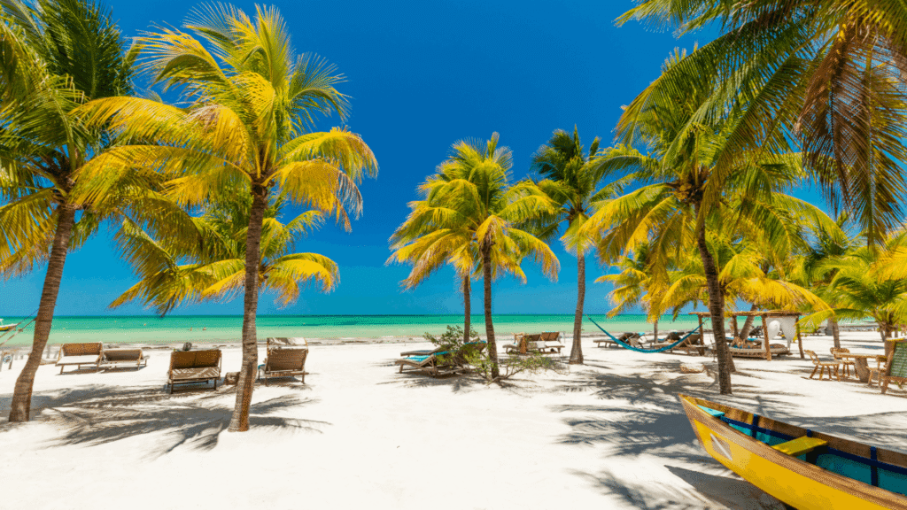 Palm-lined tropical beach with loungers and turquoise water.