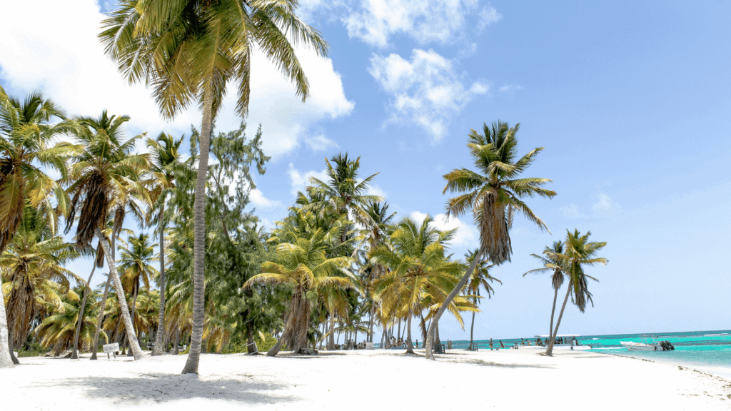 White-sand Caribbean beach lined with palm trees